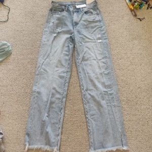 American Eagle Skater Jeans